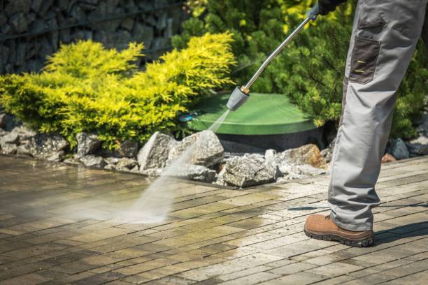 Best Sidewalk and Walkway Cleaning  in Homeland Park, SC