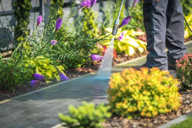 Best Animal Enclosure Cleaning  in Homeland Park, SC